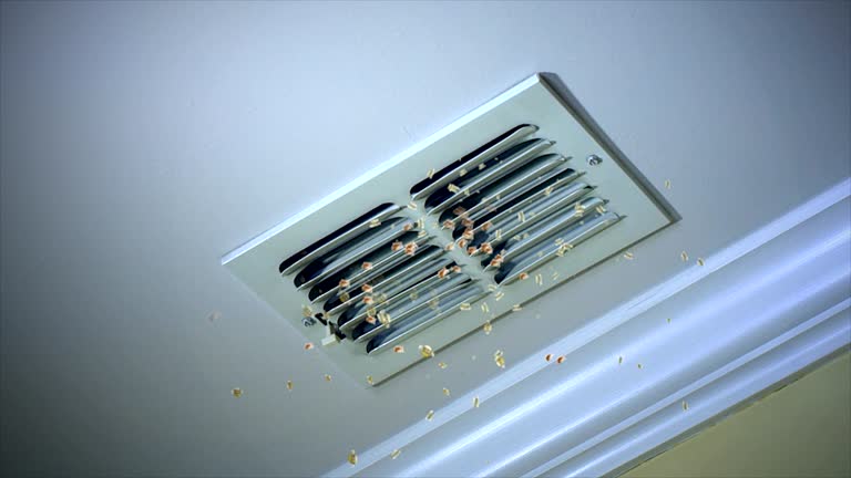 Best Ductwork Cleaning Services  in Dash Point, WA